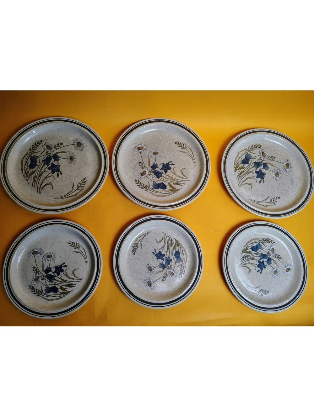 6 Royal Doulton Hill Top Plates Mixed Set (3) Dinner 10.38